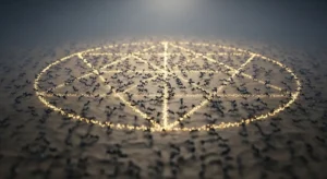Spiritual Meaning of Dreaming About Seeing Black Ants