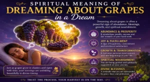 Spiritual Meaning of Dreaming About Grapes in a Dream
